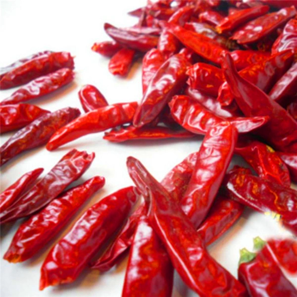 Wholesale Hybrid F1 Hot Chilli Seeds Vegetable Seeds for Spice From China