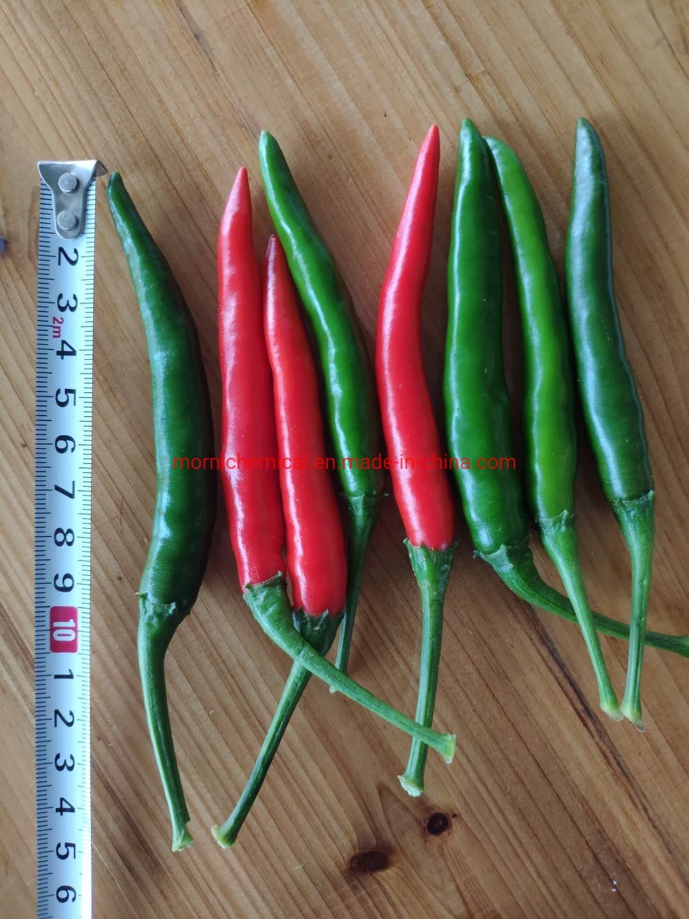 China Supplier F1 High Yield Hybird Red Chilli Pepper Seeds for Plant