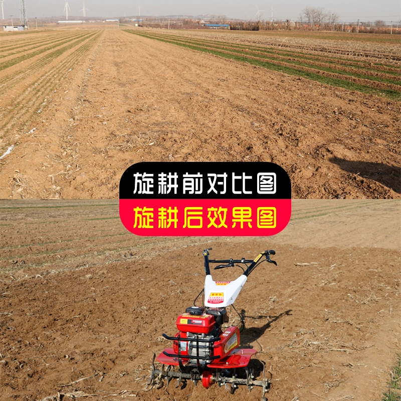 Mini Tiller Small Cultivator Power Tiller