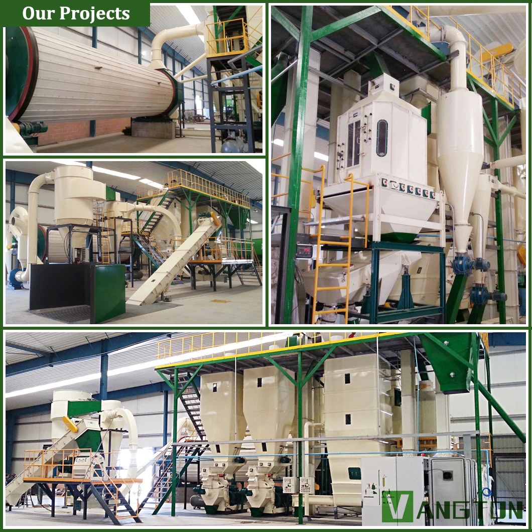 Ring Die Pelletizer 560 760 860 Model Rice Husk Straw Sawdust Biomass Wood Pellet Machine/Mill for Wheat Straw Coconut Palm Leaf Briquette Pelletizing