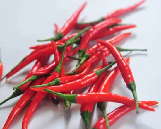 Semi di ortaggi ibridi Hot Chilli Seeds, semi di pepe da semina