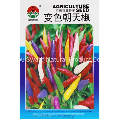 Decorazione sfusa Peperoncino arcobaleno boliviano Mini semi di pepe arcobaleno all'ingrosso per la semina di bonsai